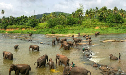 Sri Lanka