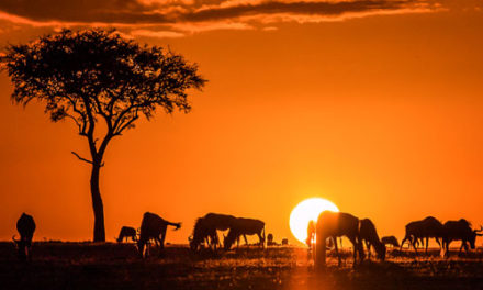Kenia, Samburu