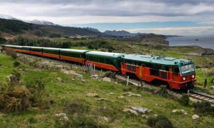 La Ruta del Peregrino II